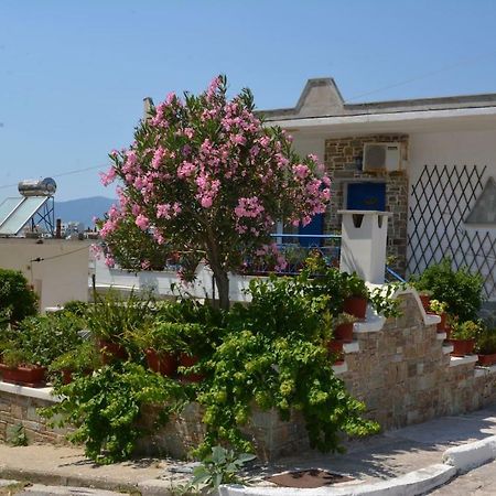 Traditional Summer House In Marmari Marmari  Exterior foto
