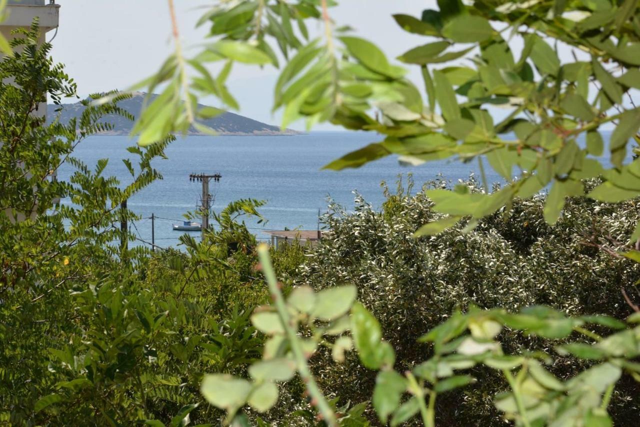 Traditional Summer House In Marmari Marmari  Exterior foto